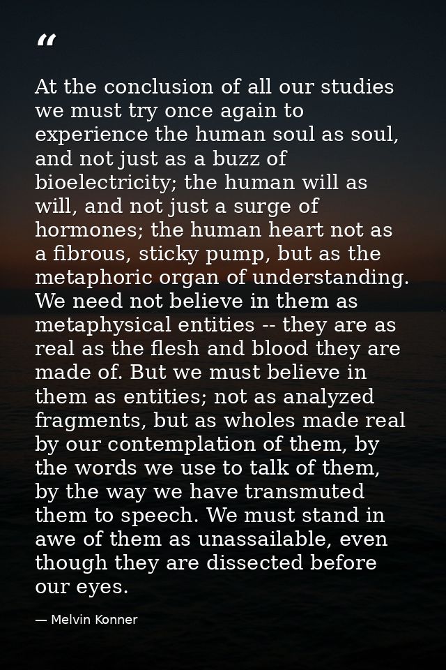 At the conclusion of all our studies we must try once again to experience the human soul as soul, and not just as a buzz — Melvin Konner