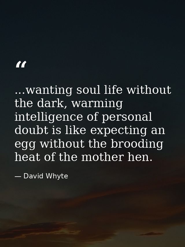 ...wanting soul life without the dark, warming intelligence of personal doubt is like expecting an egg without the brood — David Whyte