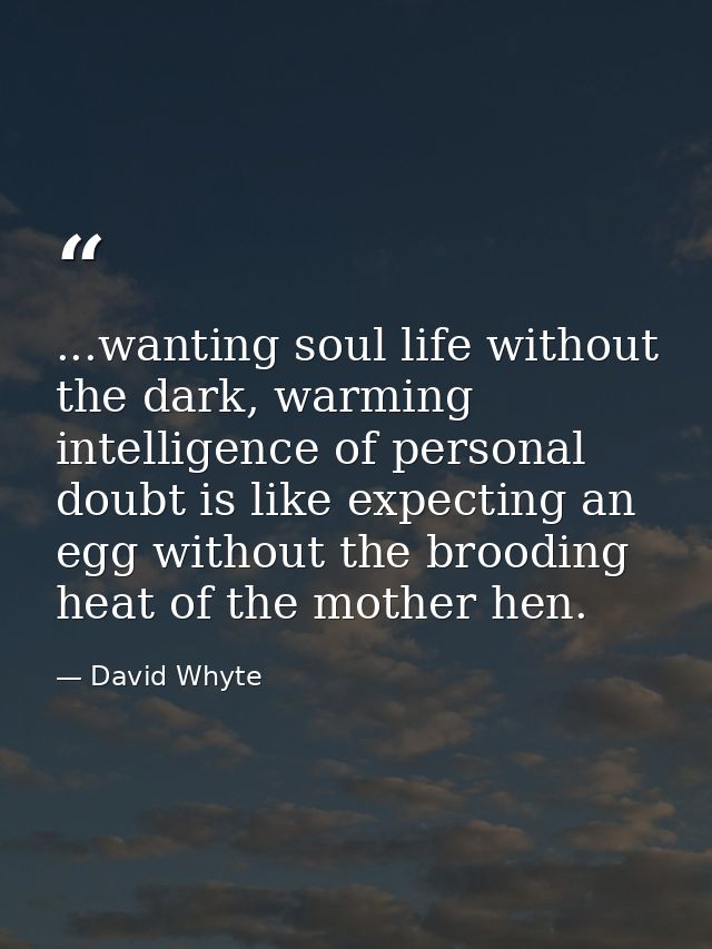 ...wanting soul life without the dark, warming intelligence of personal doubt is like expecting an egg without the brood — David Whyte