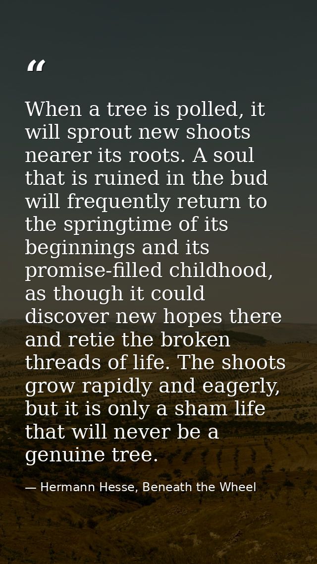 When a tree is polled, it will sprout new shoots nearer its roots. A soul that is ruined in the bud will frequently retu — Hermann Hesse, Beneath the Wheel