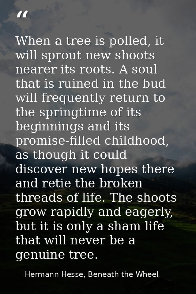 When a tree is polled, it will sprout new shoots nearer its roots. A soul that is ruined in the bud will frequently retu — Hermann Hesse, Beneath the Wheel