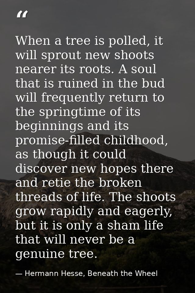 When a tree is polled, it will sprout new shoots nearer its roots. A soul that is ruined in the bud will frequently retu — Hermann Hesse, Beneath the Wheel
