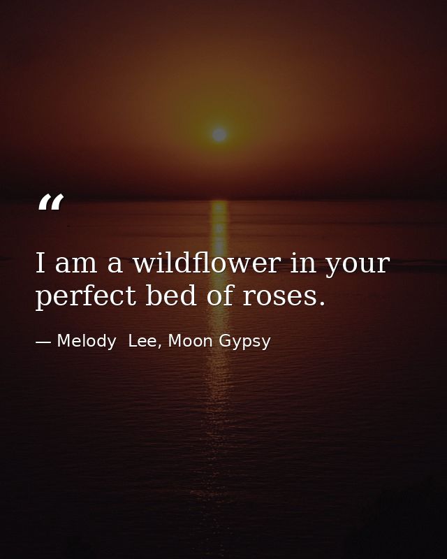 I am a wildflower in your perfect bed of roses. — Melody  Lee, Moon Gypsy