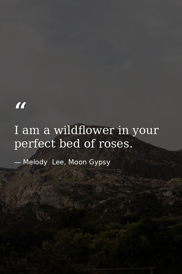 I am a wildflower in your perfect bed of roses. — Melody  Lee, Moon Gypsy