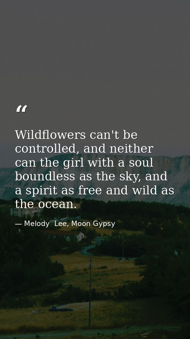 Wildflowers can't be controlled, and neither can the girl with a soul boundless as the sky, and a spirit as free and wil — Melody  Lee, Moon Gypsy