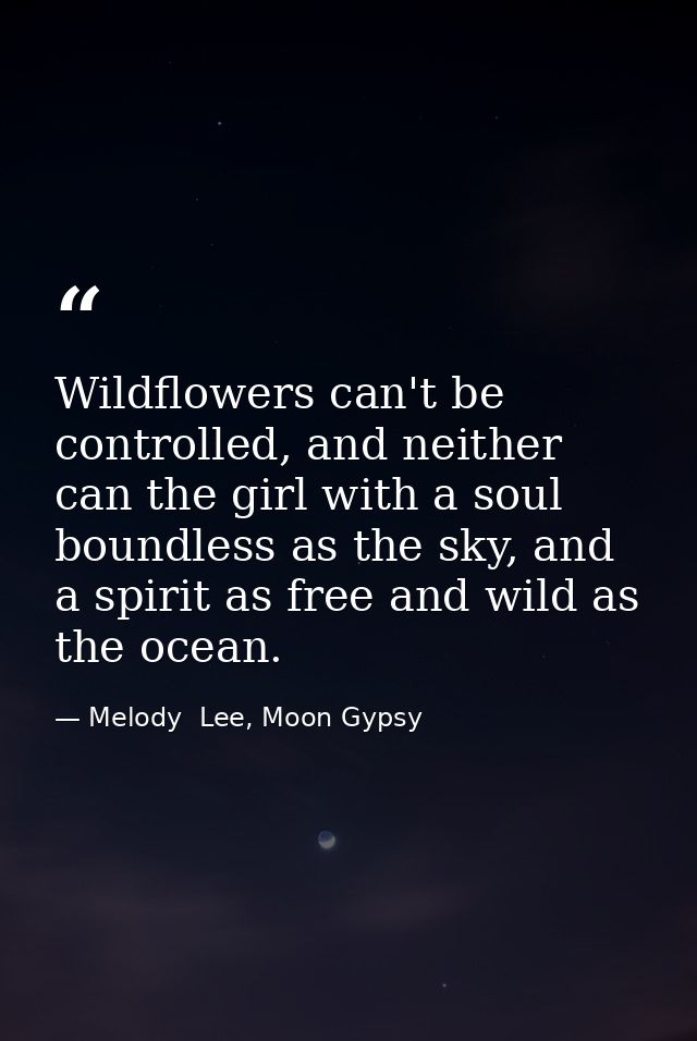 Wildflowers can't be controlled, and neither can the girl with a soul boundless as the sky, and a spirit as free and wil — Melody  Lee, Moon Gypsy
