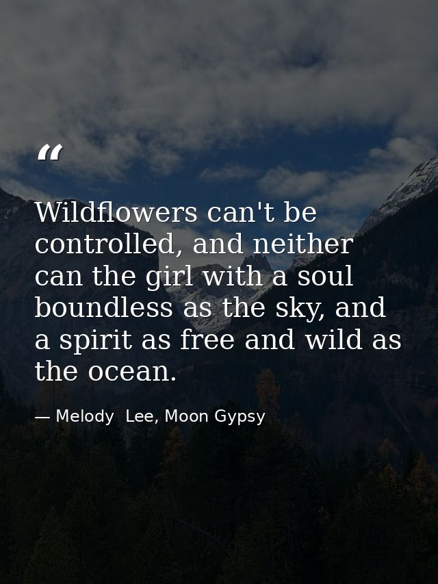 Wildflowers can't be controlled, and neither can the girl with a soul boundless as the sky, and a spirit as free and wil — Melody  Lee, Moon Gypsy