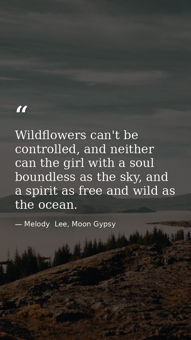 Wildflowers can't be controlled, and neither can the girl with a soul boundless as the sky, and a spirit as free and wil — Melody  Lee, Moon Gypsy