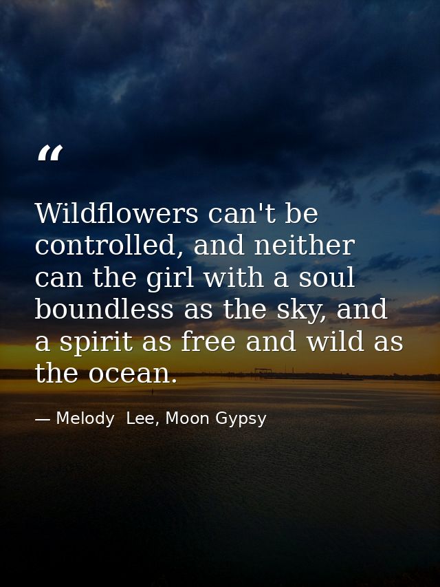 Wildflowers can't be controlled, and neither can the girl with a soul boundless as the sky, and a spirit as free and wil — Melody  Lee, Moon Gypsy