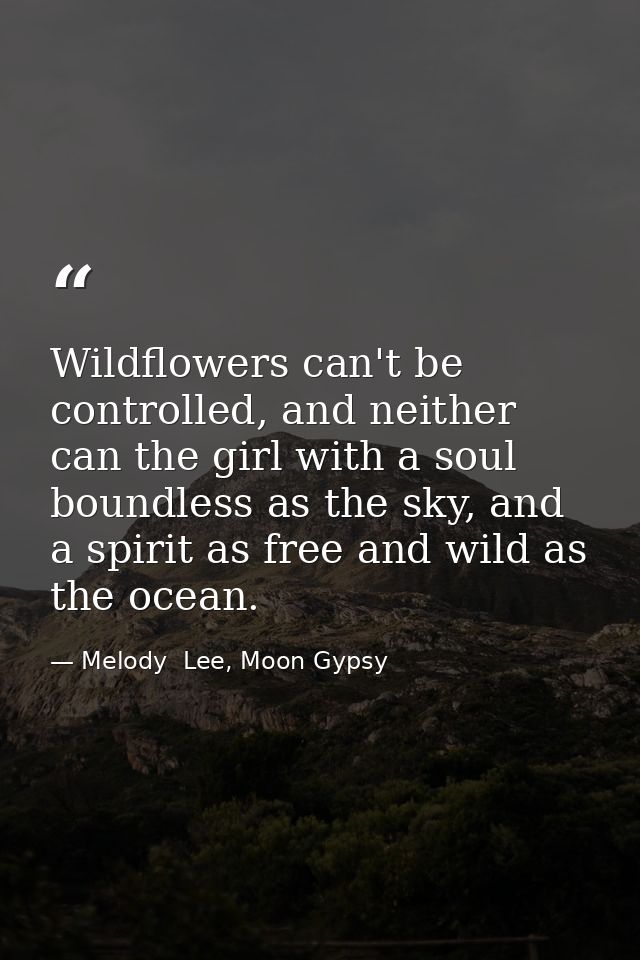 Wildflowers can't be controlled, and neither can the girl with a soul boundless as the sky, and a spirit as free and wil — Melody  Lee, Moon Gypsy