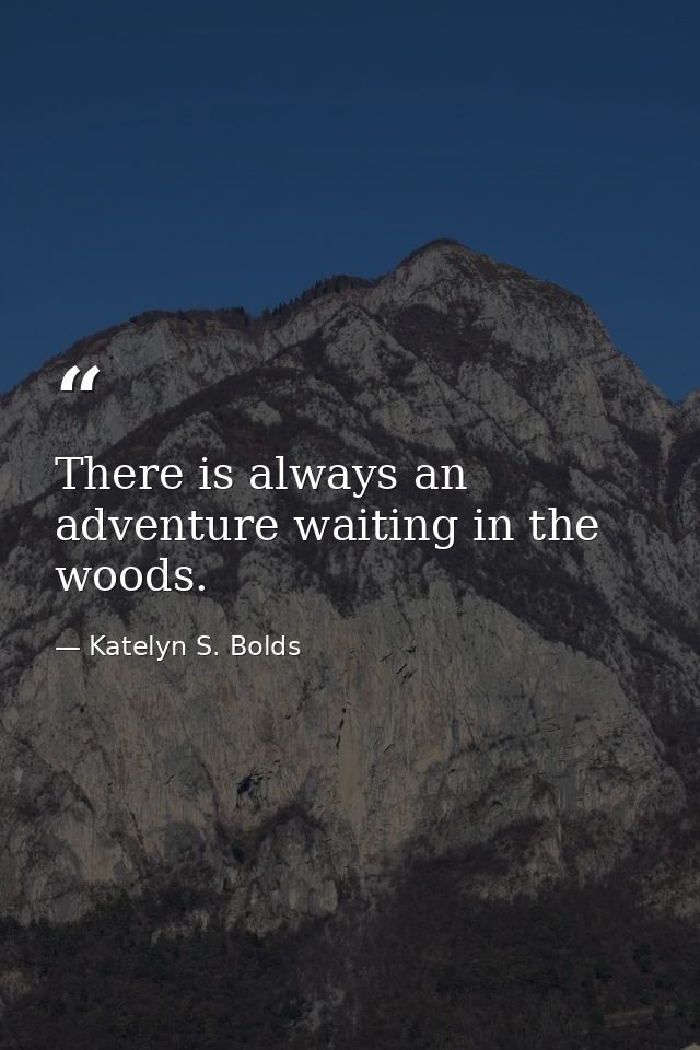 There is always an adventure waiting in the woods. — Katelyn S. Bolds