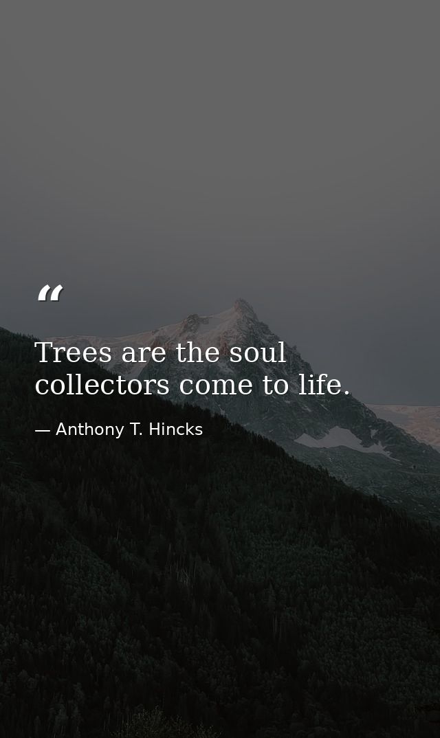 Trees are the soul collectors come to life. — Anthony T. Hincks
