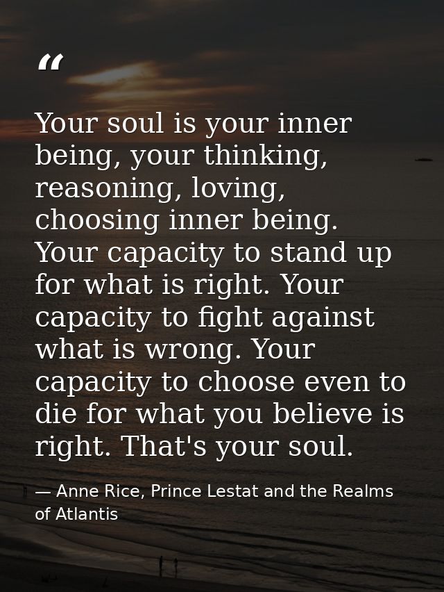 Your soul is your inner being, your thinking, reasoning, loving, choosing inner being. Your capacity to stand up for wha — Anne Rice, Prince Lestat and the Realms of Atlantis