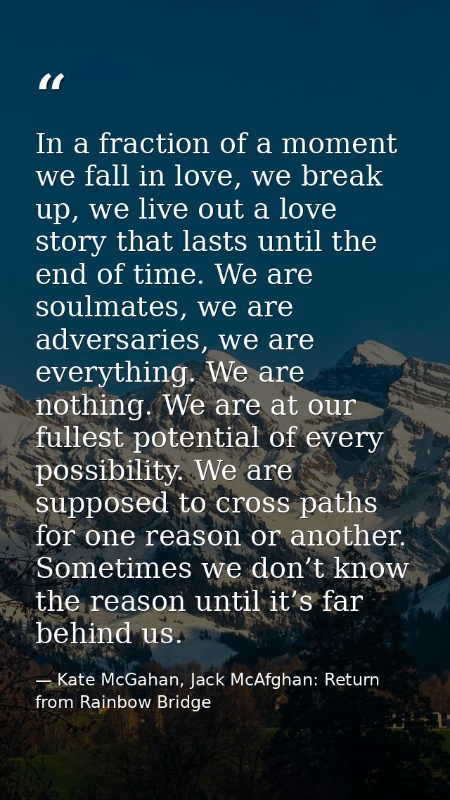 In a fraction of a moment we fall in love, we break up, we live out a love story that lasts until the end of time. We ar — Kate McGahan, Jack McAfghan: Return from Rainbow Bridge