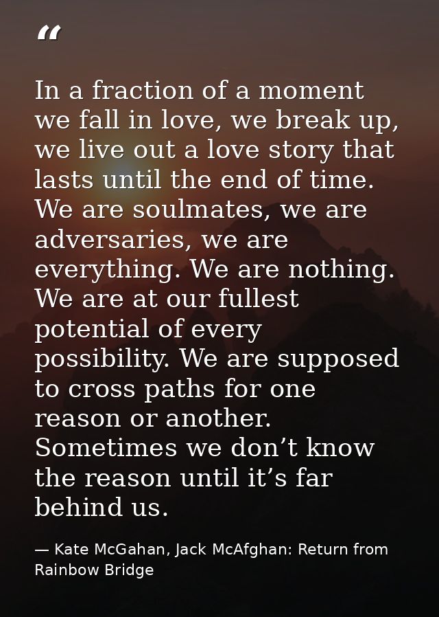 In a fraction of a moment we fall in love, we break up, we live out a love story that lasts until the end of time. We ar — Kate McGahan, Jack McAfghan: Return from Rainbow Bridge