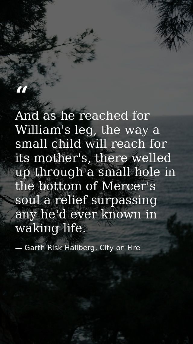 And as he reached for William's leg, the way a small child will reach for its mother's, there welled up through a small  — Garth Risk Hallberg, City on Fire