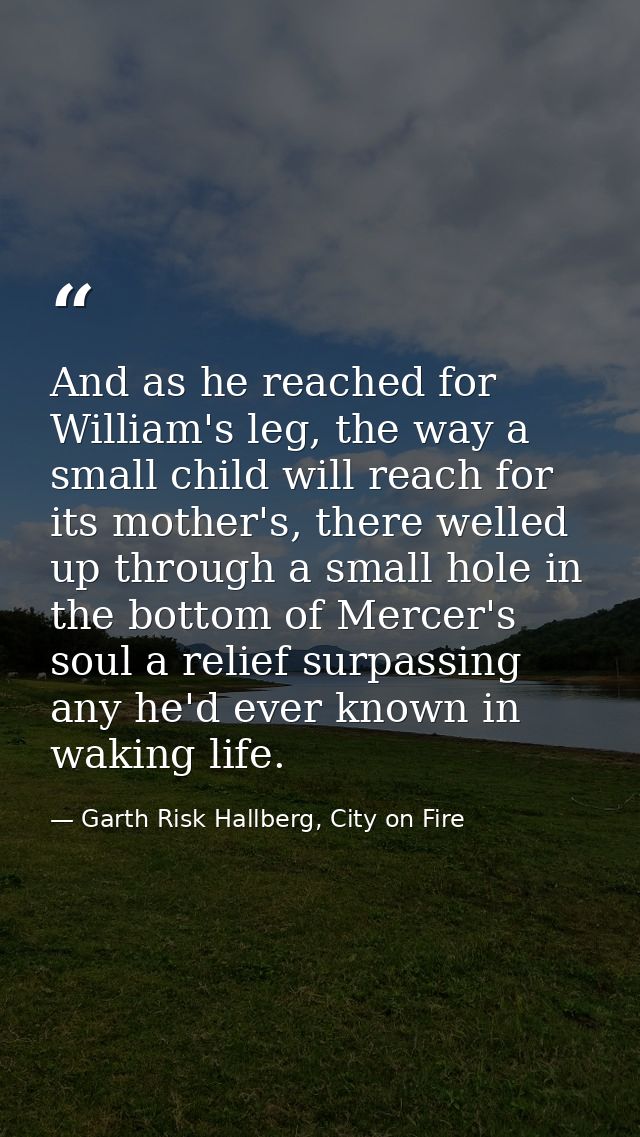And as he reached for William's leg, the way a small child will reach for its mother's, there welled up through a small  — Garth Risk Hallberg, City on Fire