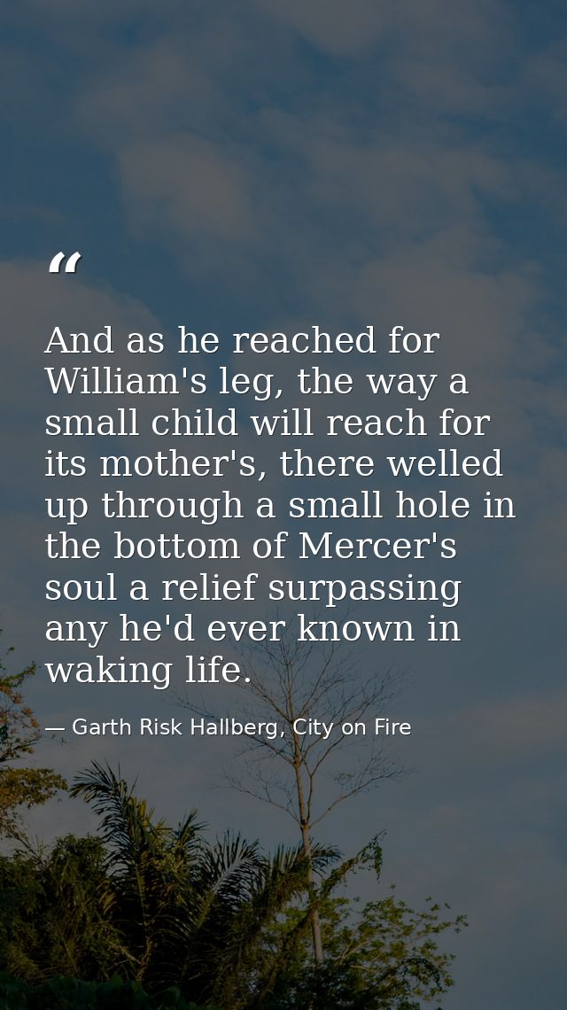 And as he reached for William's leg, the way a small child will reach for its mother's, there welled up through a small  — Garth Risk Hallberg, City on Fire