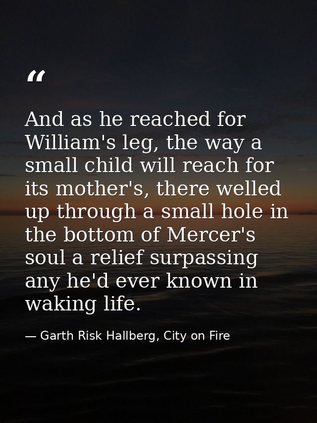 And as he reached for William's leg, the way a small child will reach for its mother's, there welled up through a small  — Garth Risk Hallberg, City on Fire