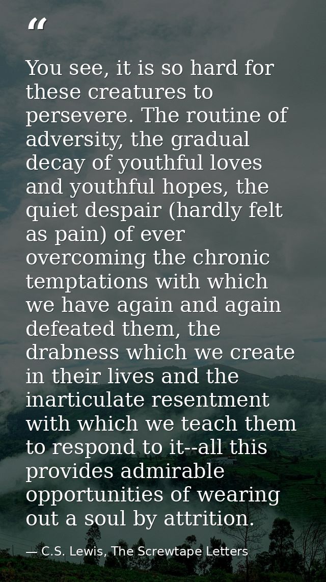 You see, it is so hard for these creatures to persevere. The routine of adversity, the gradual decay of youthful loves a — C.S. Lewis, The Screwtape Letters
