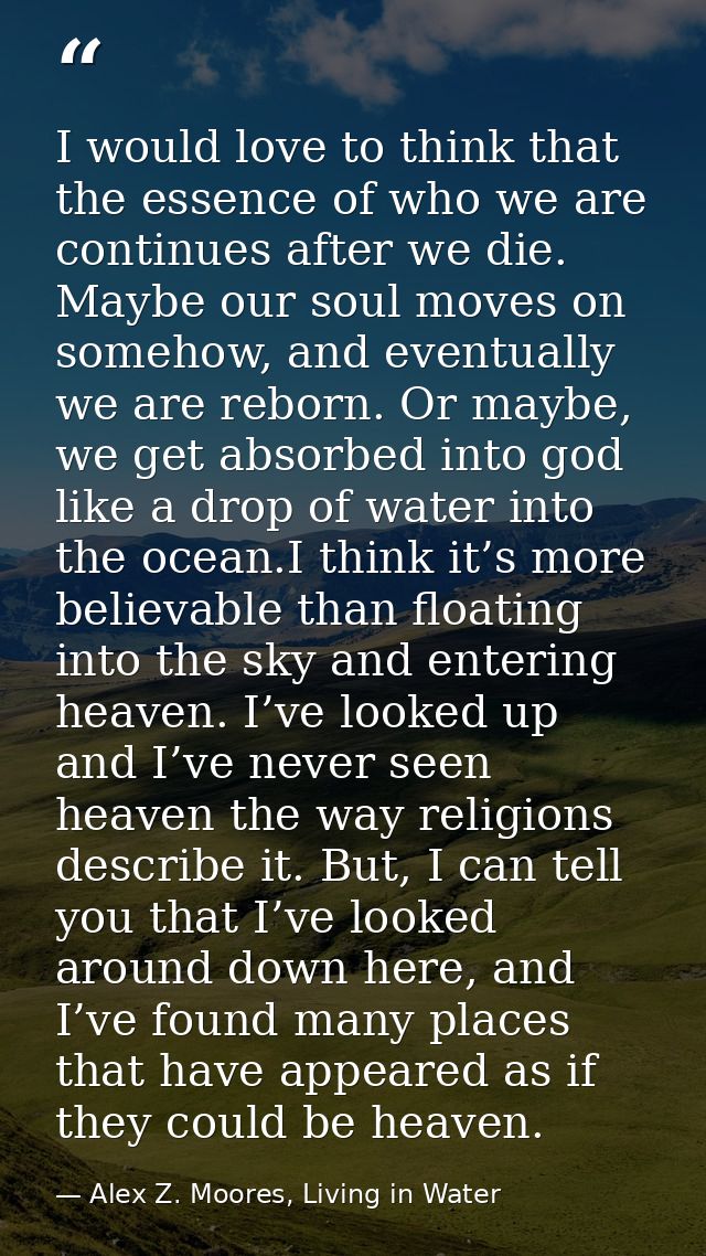 I would love to think that the essence of who we are continues after we die. Maybe our soul moves on somehow, and eventu — Alex Z. Moores, Living in Water