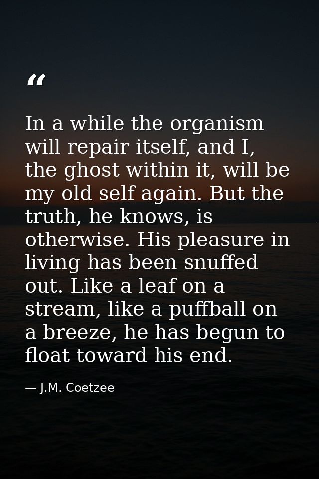 In a while the organism will repair itself, and I, the ghost within it, will be my old self again. But the truth, he kno — J.M. Coetzee