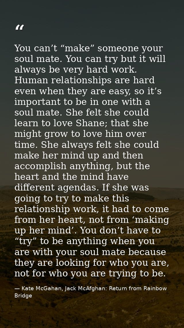 You can’t “make” someone your soul mate. You can try but it will always be very hard work. Human relationships are hard  — Kate McGahan, Jack McAfghan: Return from Rainbow Bridge