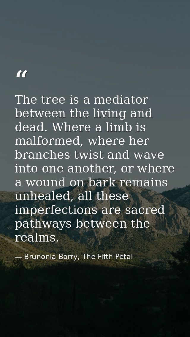The tree is a mediator between the living and dead. Where a limb is malformed, where her branches twist and wave into on — Brunonia Barry, The Fifth Petal