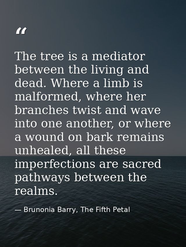 The tree is a mediator between the living and dead. Where a limb is malformed, where her branches twist and wave into on — Brunonia Barry, The Fifth Petal