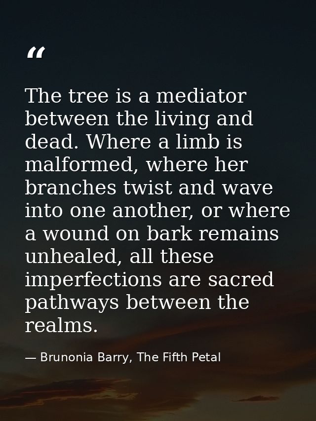 The tree is a mediator between the living and dead. Where a limb is malformed, where her branches twist and wave into on — Brunonia Barry, The Fifth Petal