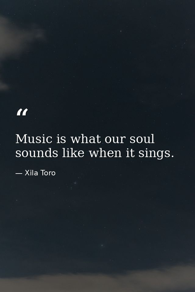 Music is what our soul sounds like when it sings. — Xila Toro