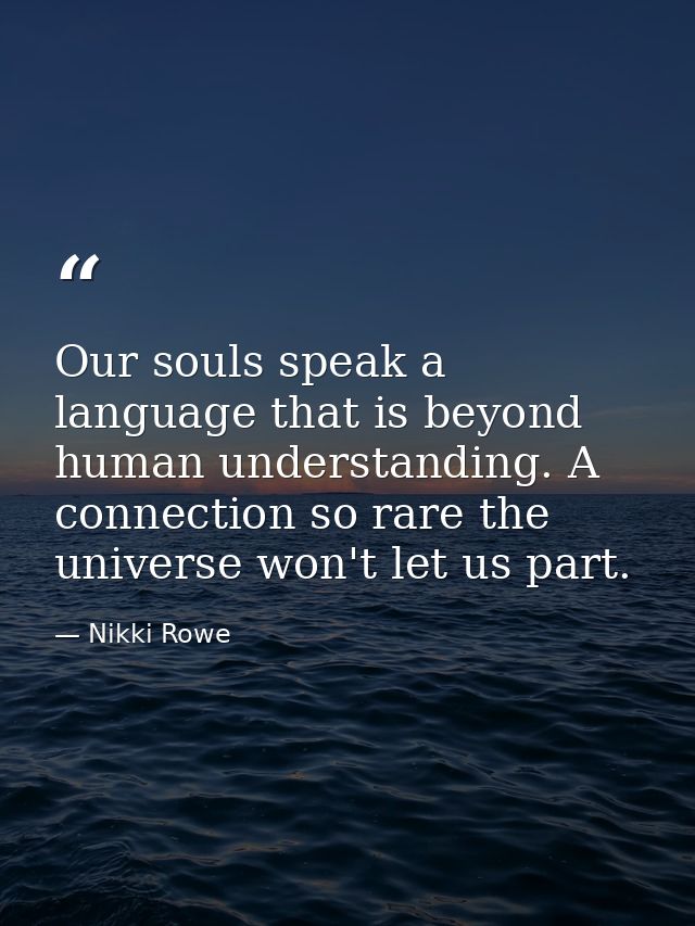 Our souls speak a language that is beyond human understanding. A connection so rare the universe won't let us part. — Nikki Rowe