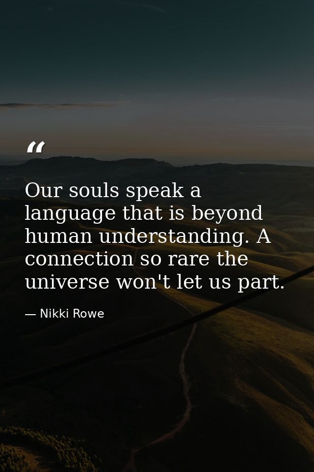 Our souls speak a language that is beyond human understanding. A connection so rare the universe won't let us part. — Nikki Rowe
