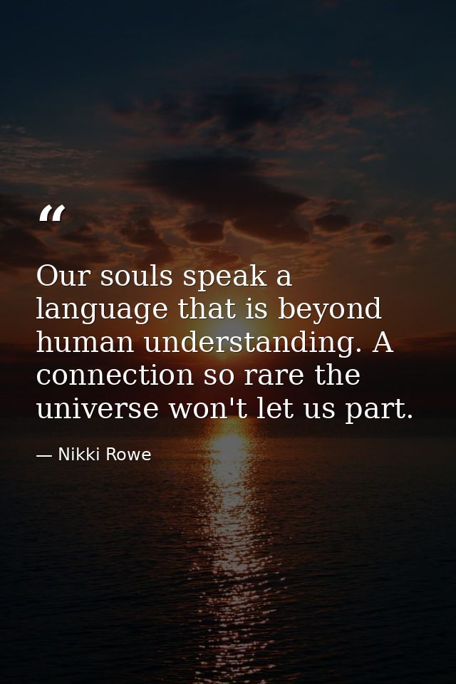 Our souls speak a language that is beyond human understanding. A connection so rare the universe won't let us part. — Nikki Rowe