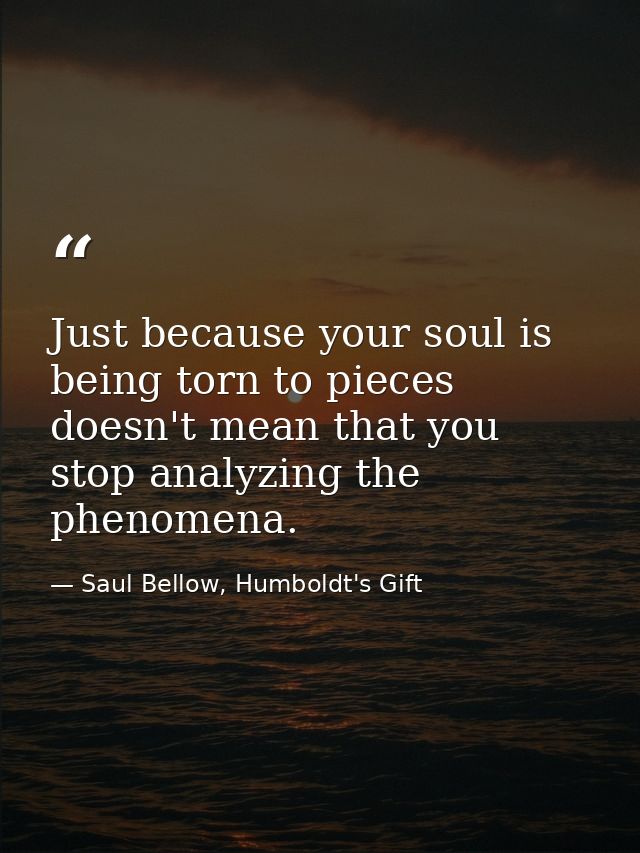 Just because your soul is being torn to pieces doesn't mean that you stop analyzing the phenomena. — Saul Bellow, Humboldt's Gift