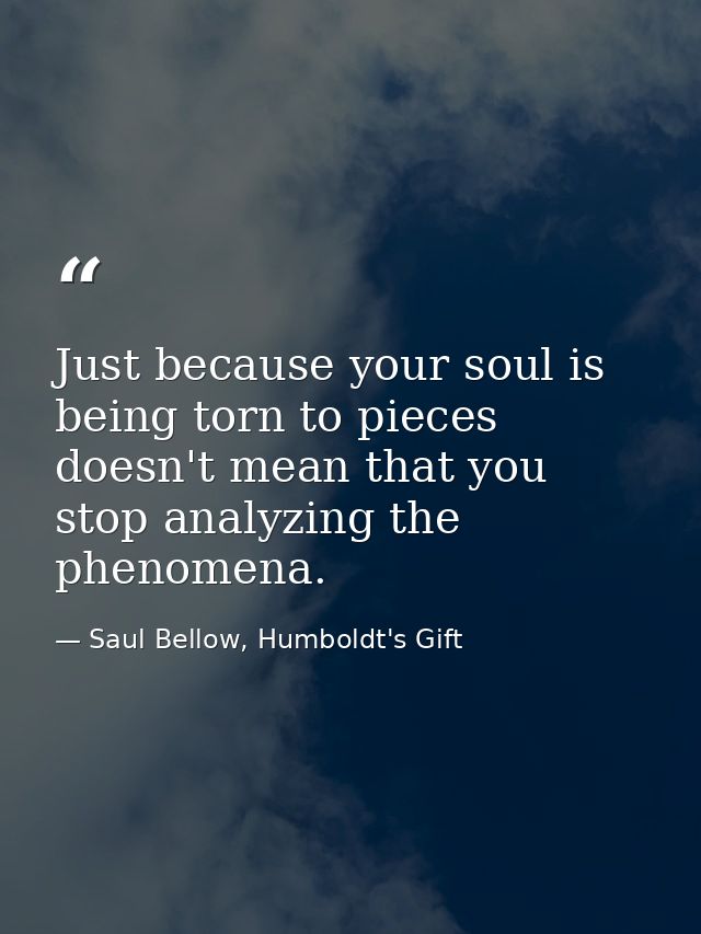 Just because your soul is being torn to pieces doesn't mean that you stop analyzing the phenomena. — Saul Bellow, Humboldt's Gift