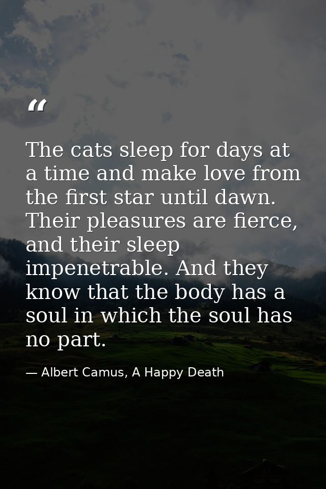 The cats sleep for days at a time and make love from the first star until dawn. Their pleasures are fierce, and their sl — Albert Camus, A Happy Death