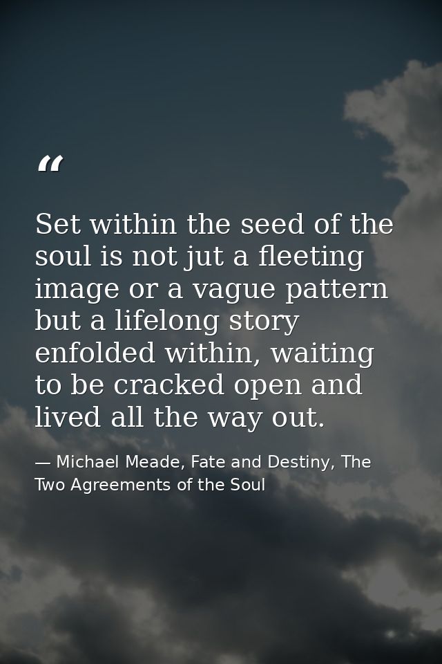 Set within the seed of the soul is not jut a fleeting image or a vague pattern but a lifelong story enfolded within, wai — Michael Meade, Fate and Destiny, The Two Agreements of the Soul