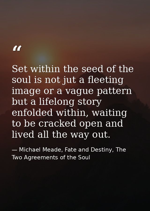 Set within the seed of the soul is not jut a fleeting image or a vague pattern but a lifelong story enfolded within, wai — Michael Meade, Fate and Destiny, The Two Agreements of the Soul