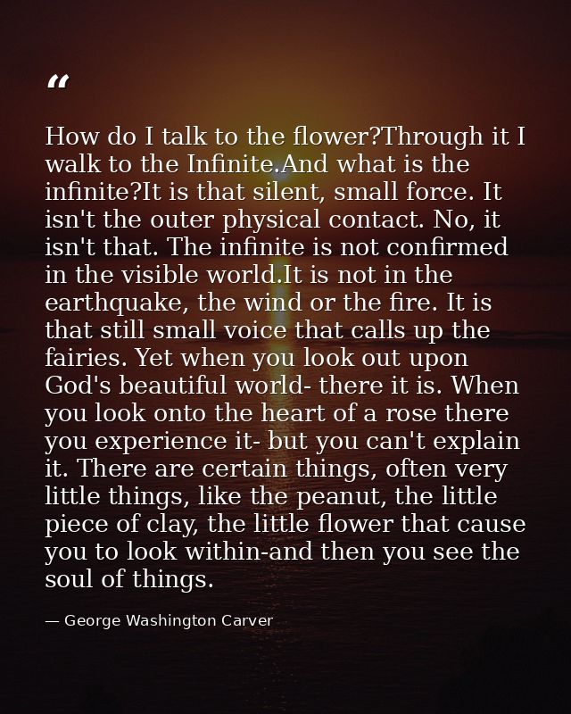 How do I talk to the flower?Through it I walk to the Infinite.And what is the infinite?It is that silent, small force. I — George Washington Carver