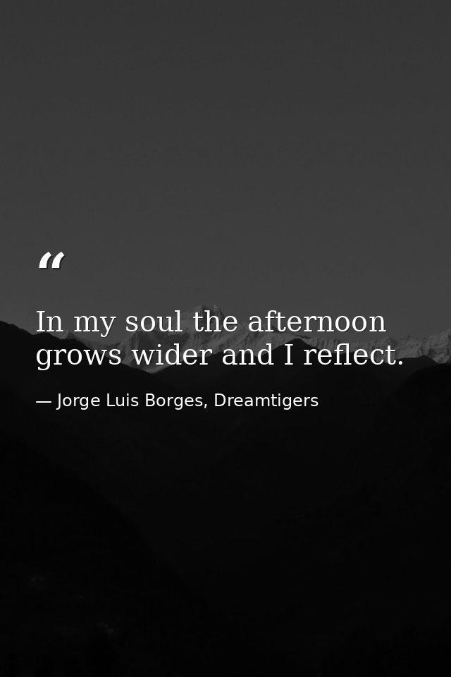 In my soul the afternoon grows wider and I reflect. — Jorge Luis Borges, Dreamtigers
