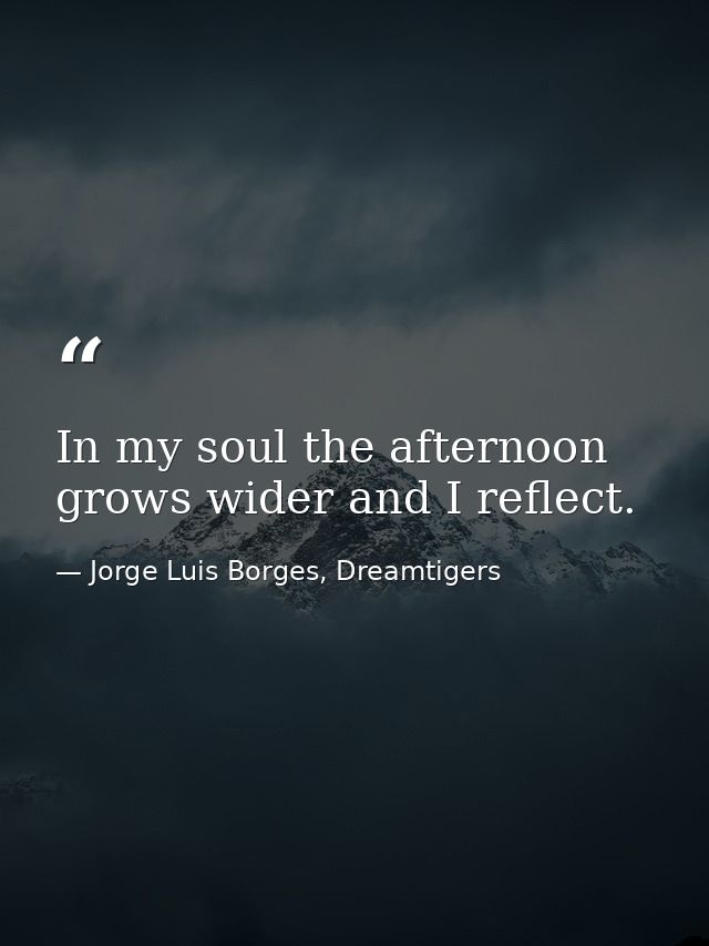 In my soul the afternoon grows wider and I reflect. — Jorge Luis Borges, Dreamtigers