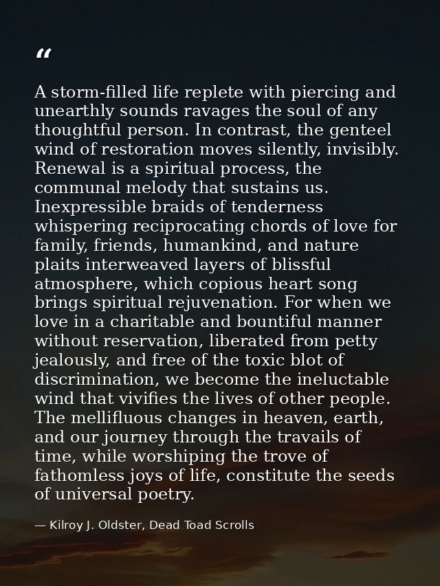 A storm-filled life replete with piercing and unearthly sounds ravages the soul of any thoughtful person. In contrast, t — Kilroy J. Oldster, Dead Toad Scrolls