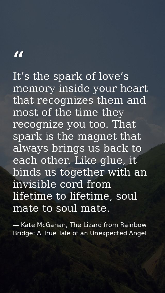 It’s the spark of love’s memory inside your heart that recognizes them and most of the time they recognize you too. That — Kate McGahan, The Lizard from Rainbow Bridge: A True Tale of an Unexpected Angel