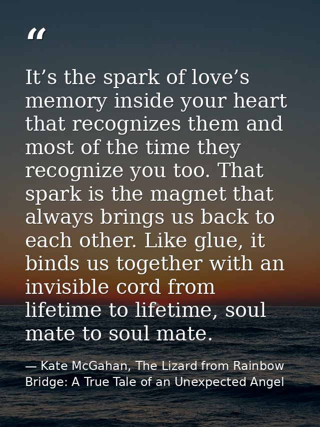 It’s the spark of love’s memory inside your heart that recognizes them and most of the time they recognize you too. That — Kate McGahan, The Lizard from Rainbow Bridge: A True Tale of an Unexpected Angel