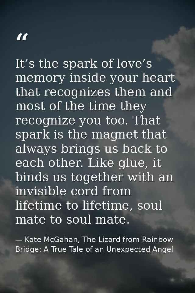 It’s the spark of love’s memory inside your heart that recognizes them and most of the time they recognize you too. That — Kate McGahan, The Lizard from Rainbow Bridge: A True Tale of an Unexpected Angel
