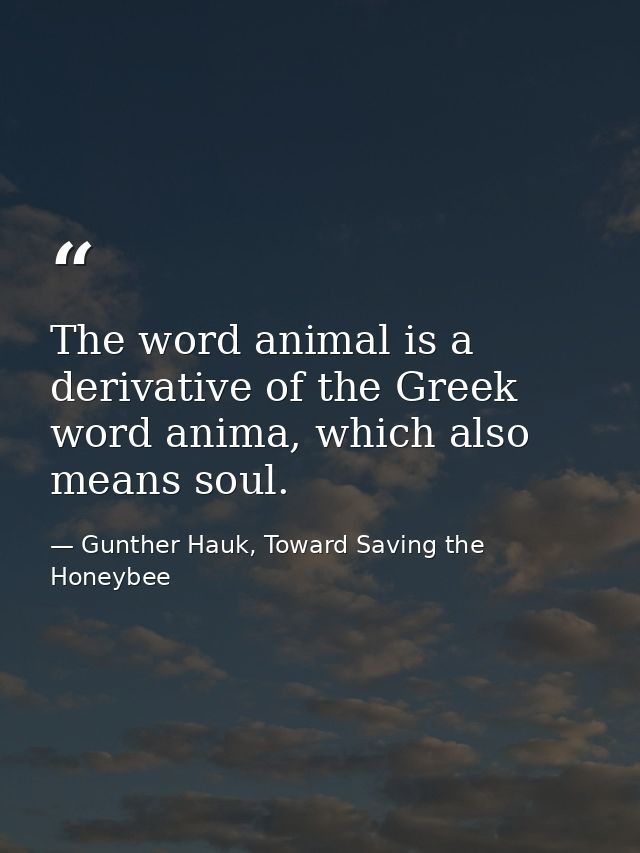 The word animal is a derivative of the Greek word anima, which also means soul. — Gunther Hauk, Toward Saving the Honeybee