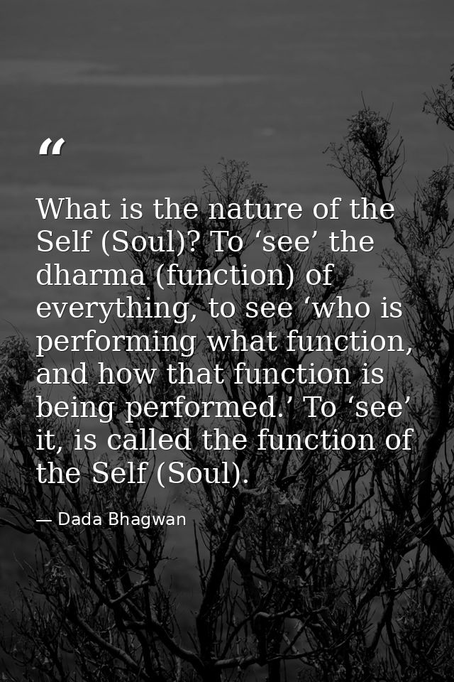What is the nature of the Self (Soul)? To ‘see’ the dharma (function) of everything, to see ‘who is performing what func — Dada Bhagwan