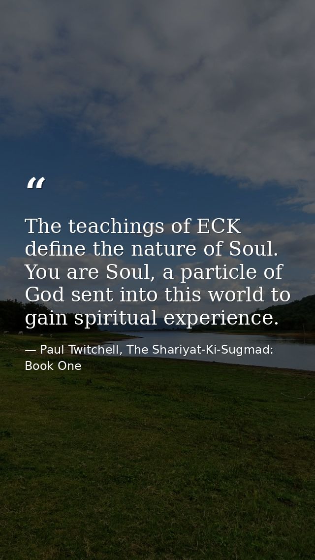 The teachings of ECK define the nature of Soul. You are Soul, a particle of God sent into this world to gain spiritual e — Paul Twitchell, The Shariyat-Ki-Sugmad: Book One
