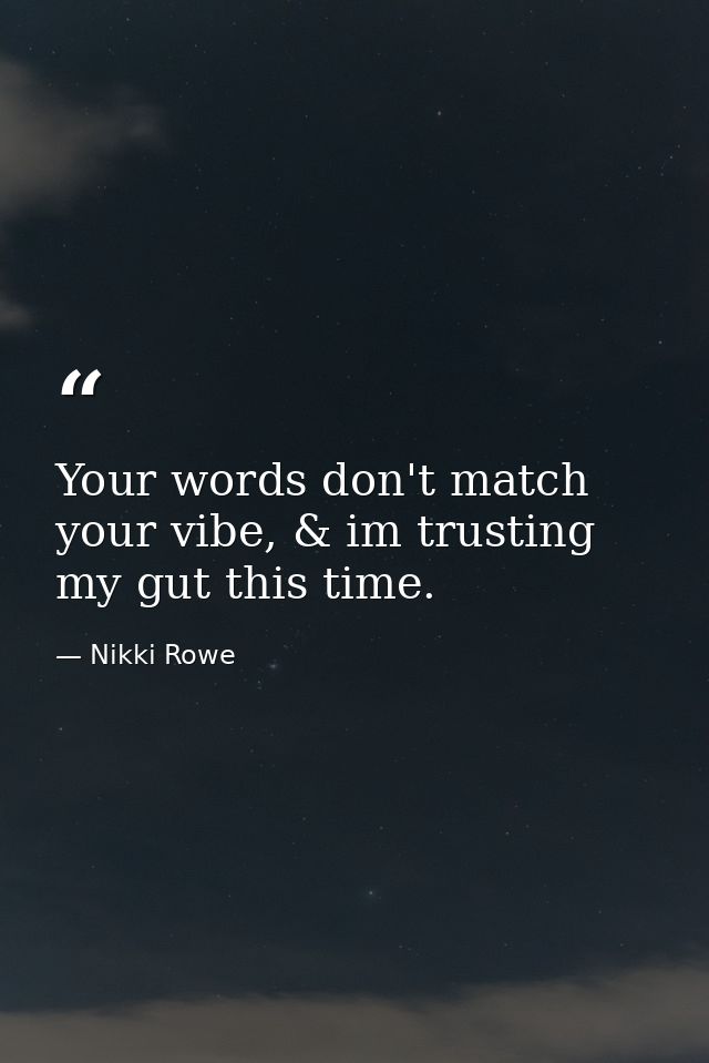 Your words don't match your vibe, & im trusting my gut this time. — Nikki Rowe